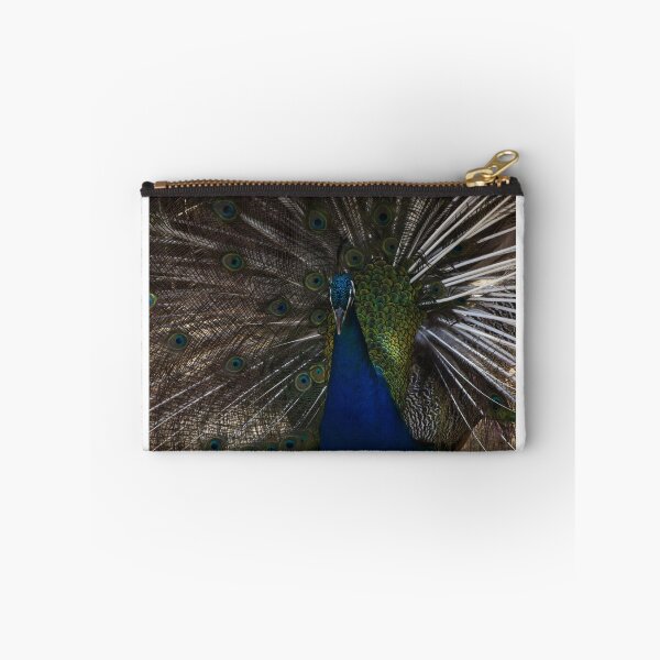 Item preview, Majestic Male Peacock Displaying Colorful Plumage and Iridescent Feathers in Full Fan designed and sold by Nmallia.