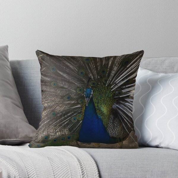 Item preview, Majestic Male Peacock Displaying Colorful Plumage and Iridescent Feathers in Full Fan designed and sold by Nmallia.