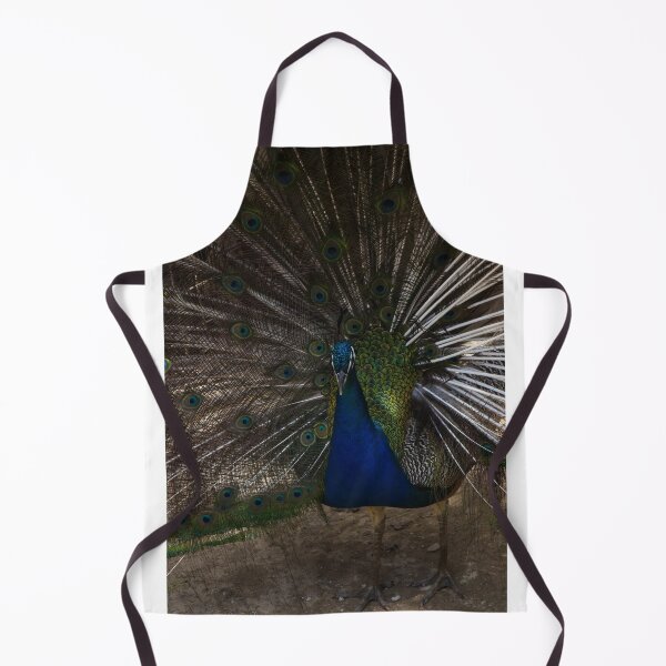 Item preview, Majestic Male Peacock Displaying Colorful Plumage and Iridescent Feathers in Full Fan designed and sold by Nmallia.