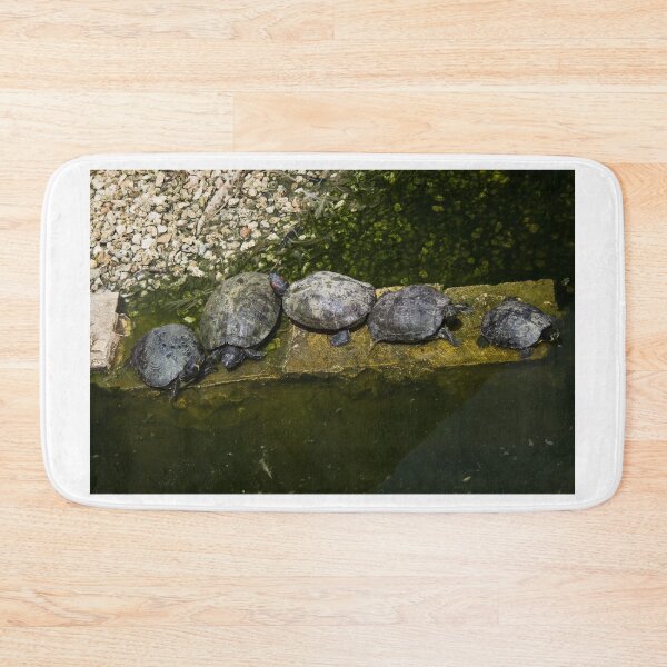 Item preview, Turtles Basking Together On A Stone Ledge In A Green Pond On A Sunny Day designed and sold by Nmallia.