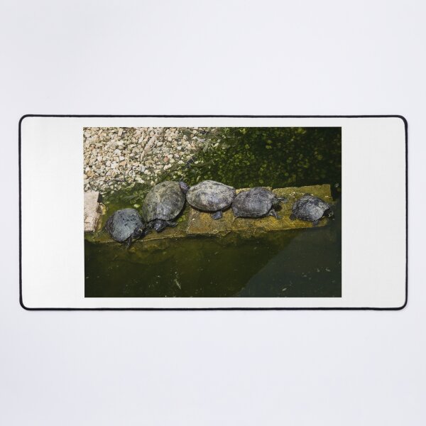 Item preview, Turtles Basking Together On A Stone Ledge In A Green Pond On A Sunny Day designed and sold by Nmallia.