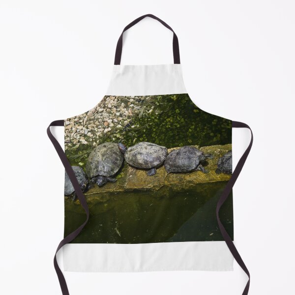 Item preview, Turtles Basking Together On A Stone Ledge In A Green Pond On A Sunny Day designed and sold by Nmallia.