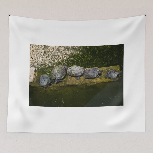 Item preview, Turtles Basking Together On A Stone Ledge In A Green Pond On A Sunny Day designed and sold by Nmallia.