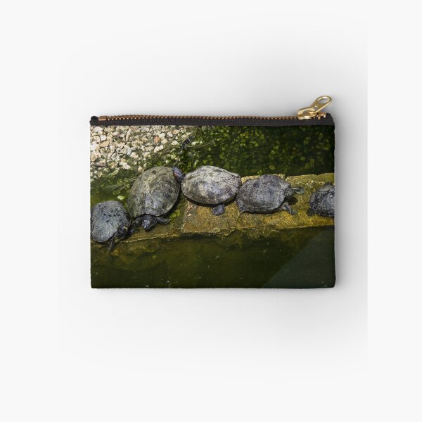 Item preview, Turtles Basking Together On A Stone Ledge In A Green Pond On A Sunny Day designed and sold by Nmallia.