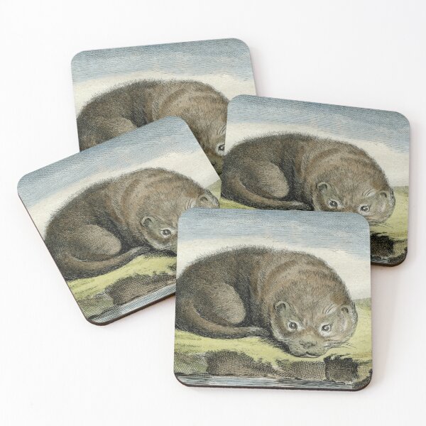 Item preview,  Otter drawn in 1780 for natural history study designed and sold by TerryKerrImages.
