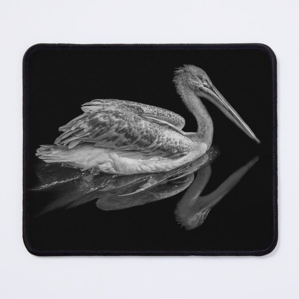 Item preview, Black and White Pelican Reflection Fine Art Minimalism designed and sold by MariaAbaza.