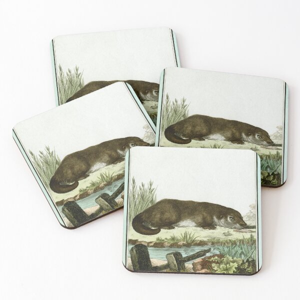 Item preview, Otter with glint in its eye, drawn 1780 designed and sold by TerryKerrImages.