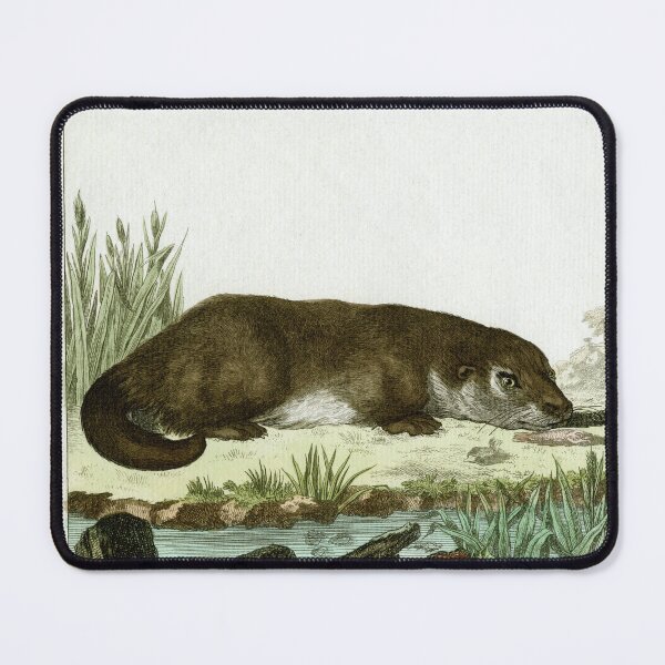 Item preview, Otter with glint in its eye, drawn 1780 designed and sold by TerryKerrImages.