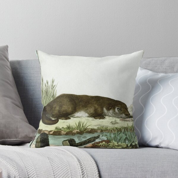Item preview, Otter with glint in its eye, drawn 1780 designed and sold by TerryKerrImages.