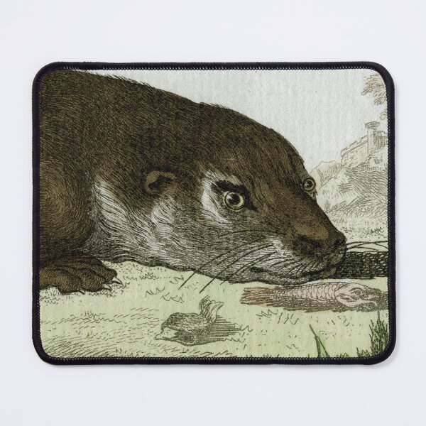 Item preview, Otter with dead fish, drawn in 1780 designed and sold by TerryKerrImages.