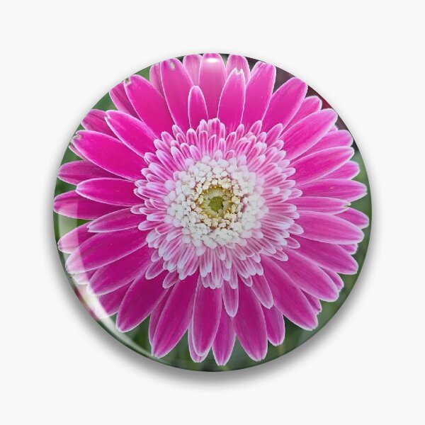 Item preview, Pink Gerbera Daisy designed and sold by Tammy's Handmade Gifts.