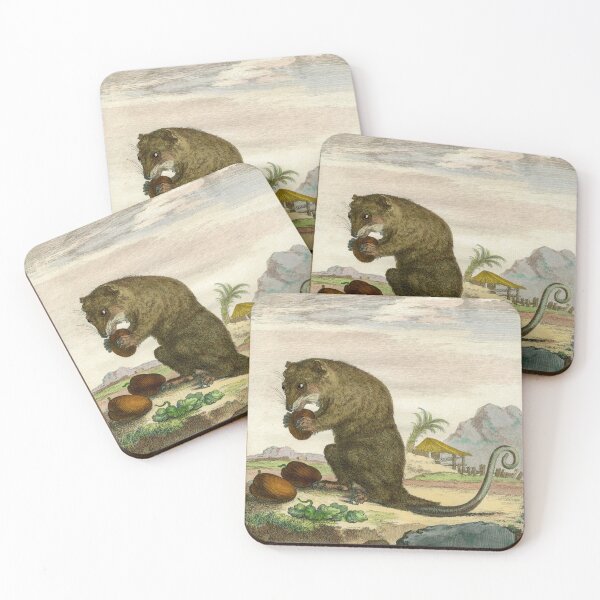 Item preview, Possum drawn in 1780 for Comte de Buffon designed and sold by TerryKerrImages.