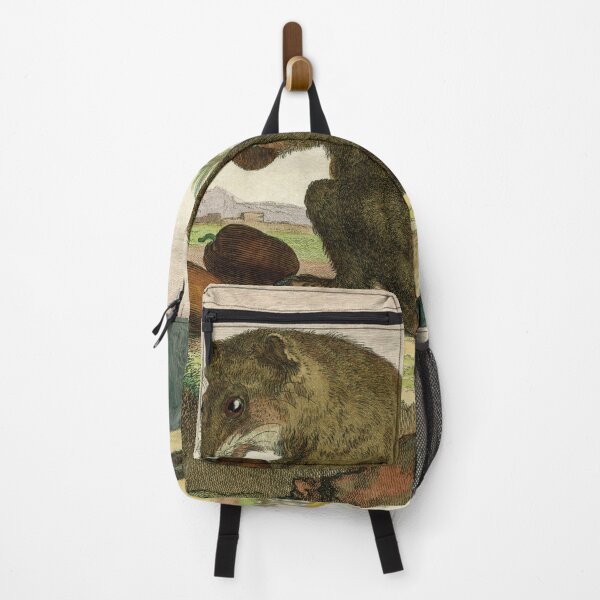 Item preview, Female possum with food, drawn in 18th century designed and sold by TerryKerrImages.