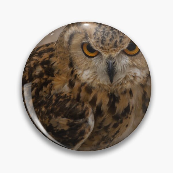 Item preview, Close-Up Portrait of a Eurasian Eagle-Owl With Intense Orange Eyes Perched and Alert designed and sold by Nmallia.