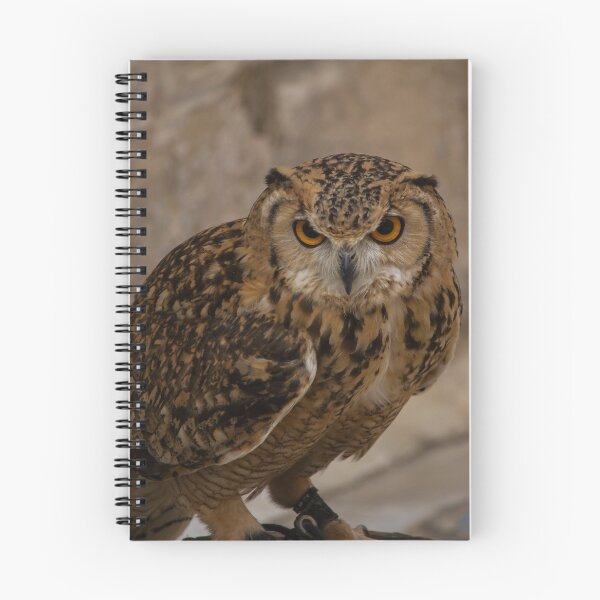 Item preview, Close-Up Portrait of a Eurasian Eagle-Owl With Intense Orange Eyes Perched and Alert designed and sold by Nmallia.