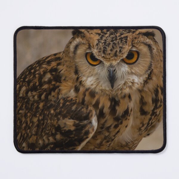Item preview, Close-Up Portrait of a Eurasian Eagle-Owl With Intense Orange Eyes Perched and Alert designed and sold by Nmallia.