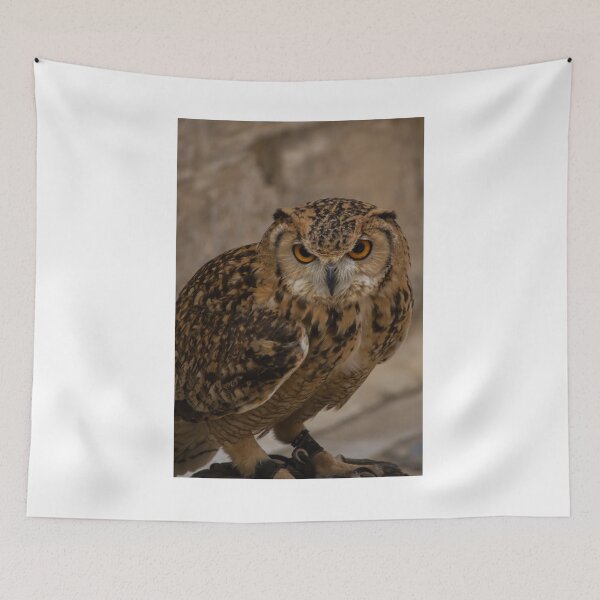 Item preview, Close-Up Portrait of a Eurasian Eagle-Owl With Intense Orange Eyes Perched and Alert designed and sold by Nmallia.