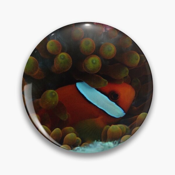 Item preview, Cozy Clownfish: Yonaguni Ocean Art designed and sold by Mayuri Japan Studio.