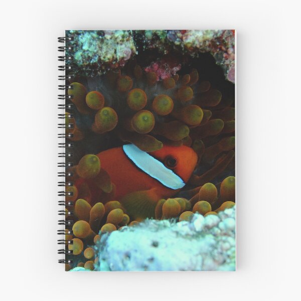 Item preview, Cozy Clownfish: Yonaguni Ocean Art designed and sold by Mayuri Japan Studio.