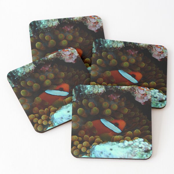 Item preview, Cozy Clownfish: Yonaguni Ocean Art designed and sold by Mayuri Japan Studio.