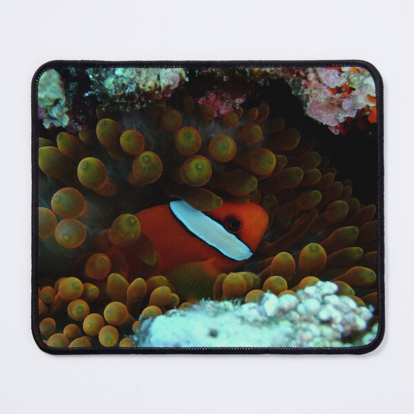 Item preview, Cozy Clownfish: Yonaguni Ocean Art designed and sold by Mayuri Japan Studio.