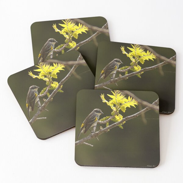 Item preview, Yellow-rumped warbler designed and sold by connorwanderer.