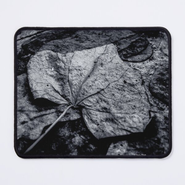 Item preview, leaf artwork designed and sold by Houseofstills.