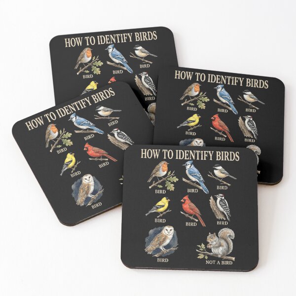 Item preview, How To Identify Birds Funny Squirrel Educational Chart Ornithology Wildlife Nature Design designed and sold by KenveLaova.