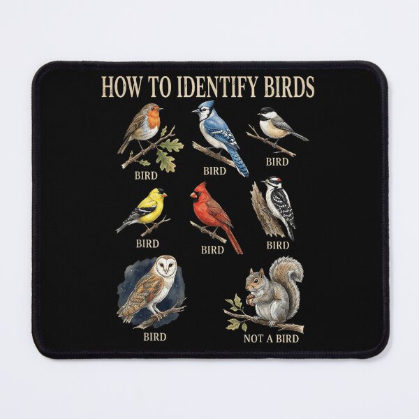 Item preview, How To Identify Birds Funny Squirrel Educational Chart Ornithology Wildlife Nature Design designed and sold by KenveLaova.