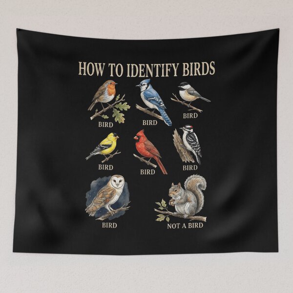 Item preview, How To Identify Birds Funny Squirrel Educational Chart Ornithology Wildlife Nature Design designed and sold by KenveLaova.