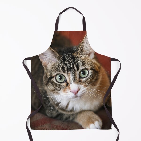 Item preview, Kitty designed and sold by Kimberly Palmer.