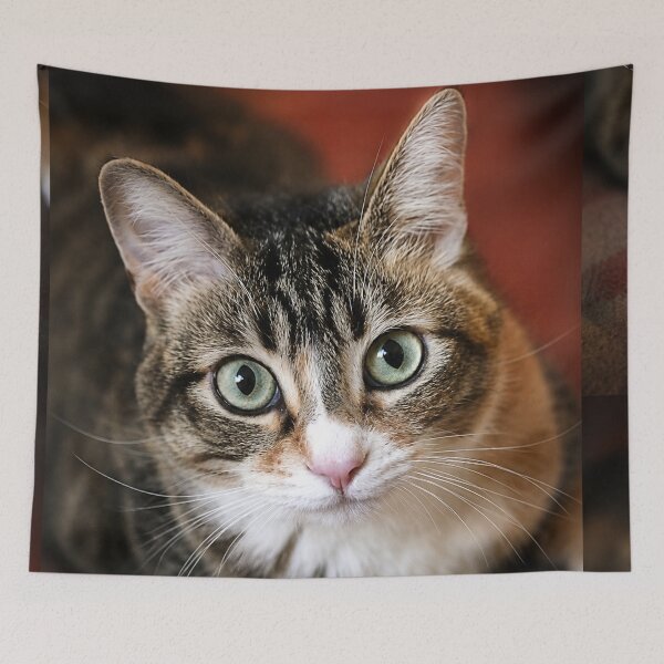 Item preview, Kitty designed and sold by Kimberly Palmer.