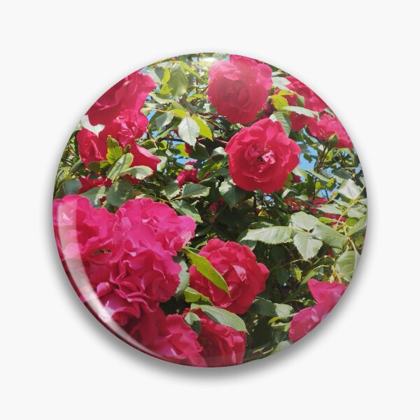 Item preview, Red Climbing Rose Bush designed and sold by inspiration3.