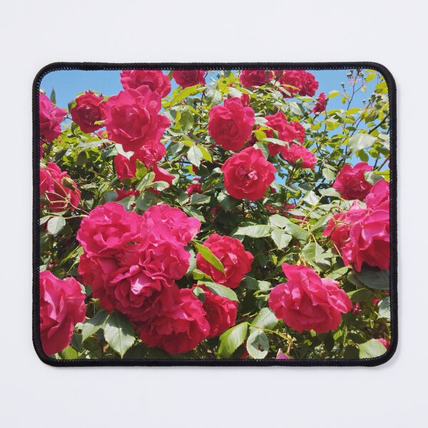Item preview, Red Climbing Rose Bush designed and sold by inspiration3.