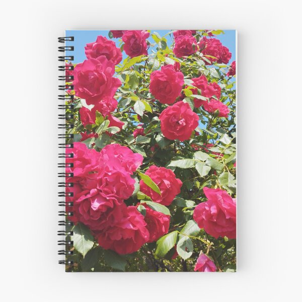 Item preview, Red Climbing Rose Bush designed and sold by inspiration3.