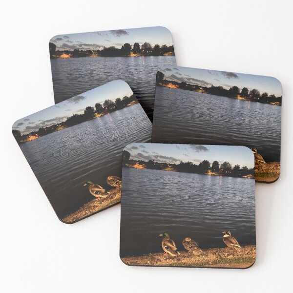 Item preview, Ducks in the lough  designed and sold by Bcarey22.