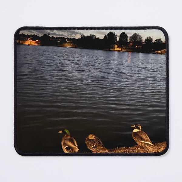 Item preview, Ducks in the lough designed and sold by Bcarey22.