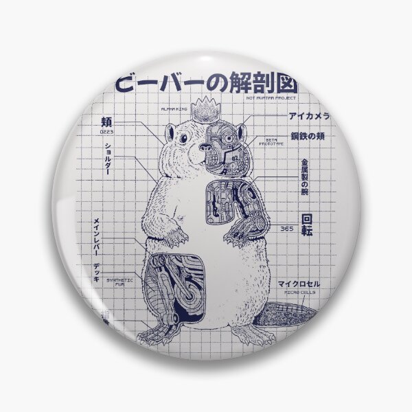 Item preview, Beaver anatomy designed and sold by ppmid.
