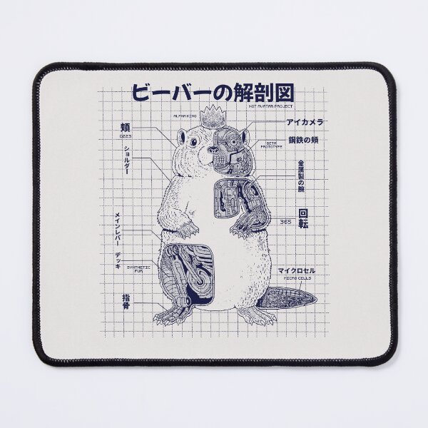 Item preview, Beaver anatomy designed and sold by ppmid.