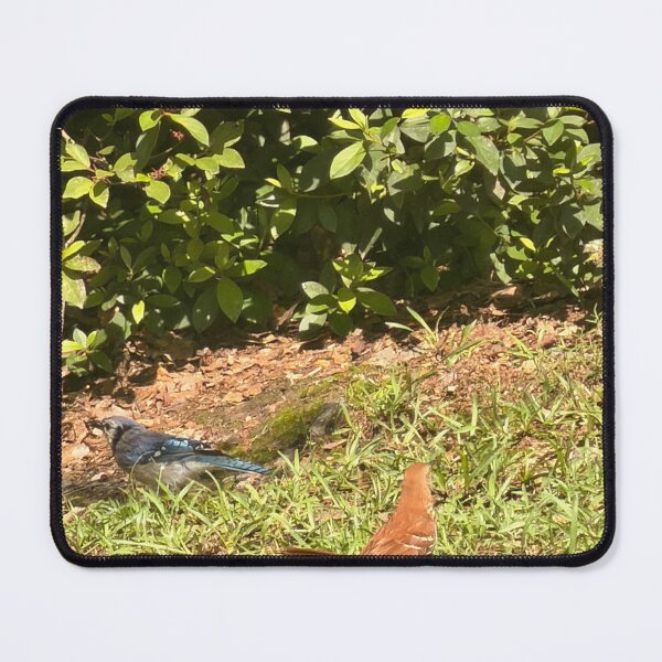 Item preview, Feathered Friends Gathering. designed and sold by Pearls1.
