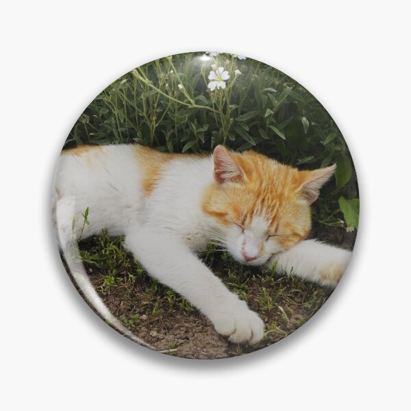 Item preview, Sleeping Ginger Kitten designed and sold by inspiration3.