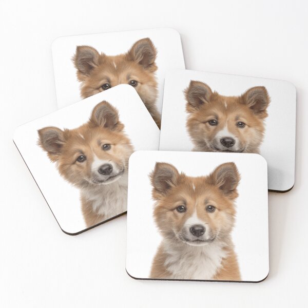 Item preview, Adorable Icelandic Sheepdog puppy for Cute Icelandic Spitz puppy lovers designed and sold by LazyOwlStore.