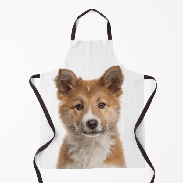 Item preview, Adorable Icelandic Sheepdog puppy for Cute Icelandic Spitz puppy lovers designed and sold by LazyOwlStore.