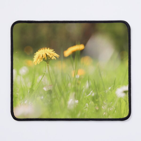 Item preview, Golden Dandelions in Spring Light designed and sold by little_macro_love.