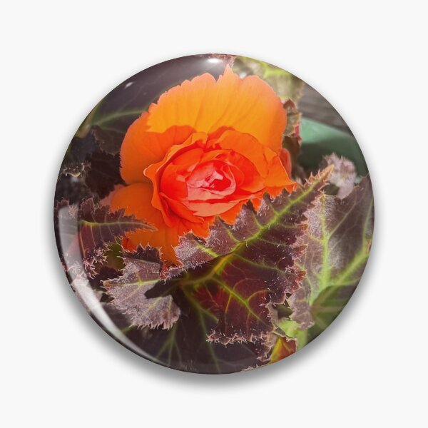 Item preview, peeking bright begonia designed and sold by toothpirate.
