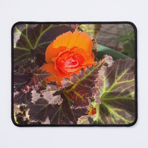 Item preview, peeking bright begonia designed and sold by toothpirate.