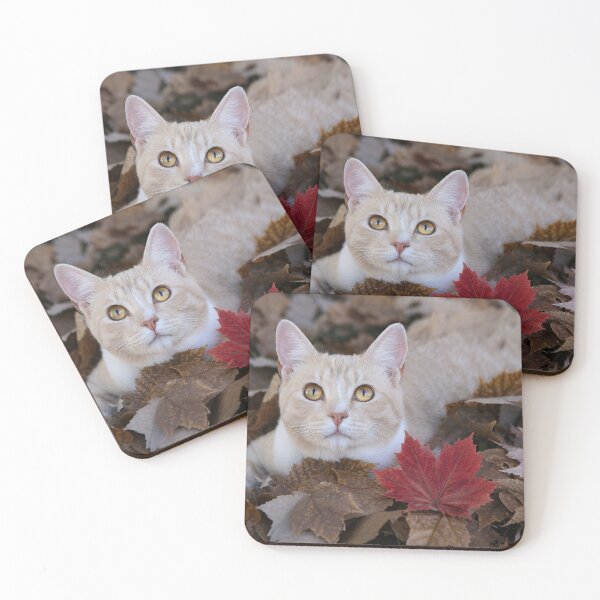 Item preview, Autumn Eyes designed and sold by Kimberly Palmer.