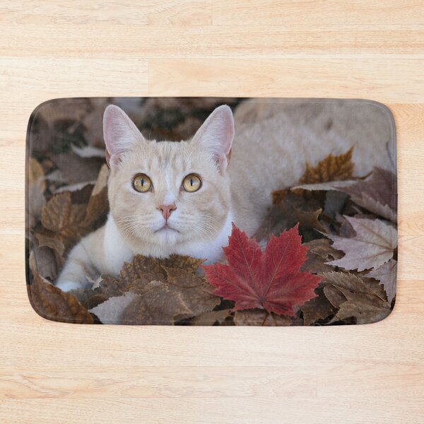 Item preview, Autumn Eyes designed and sold by Kimberly Palmer.