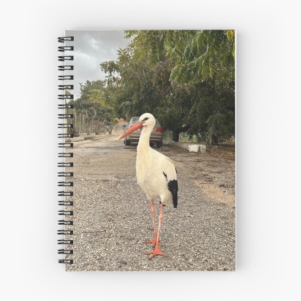 Item preview, Walking Stork designed and sold by Alexander Krishchyunas.
