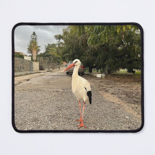 Item preview, Walking Stork designed and sold by Alexander Krishchyunas.